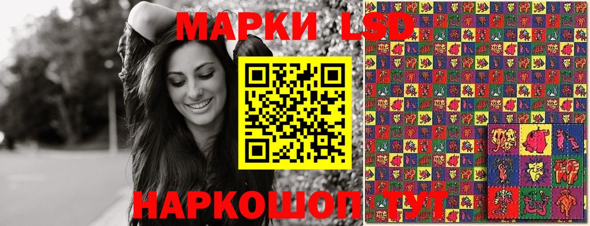 Полевской  Марки N-bome 1,5мг  Вход с VPN 