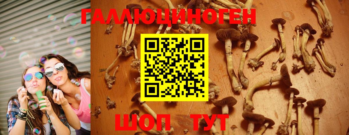 Полевской  Галлюциногенные грибы Cubensis  Вход с VPN  Галлюциногенные грибы мухоморы 
